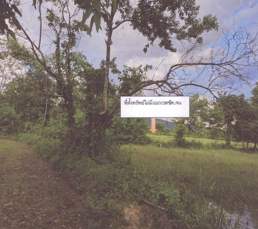 รูปที่ดินว่างเปล่า บ้านขาม หนองบัวลำภู อุดรธานี