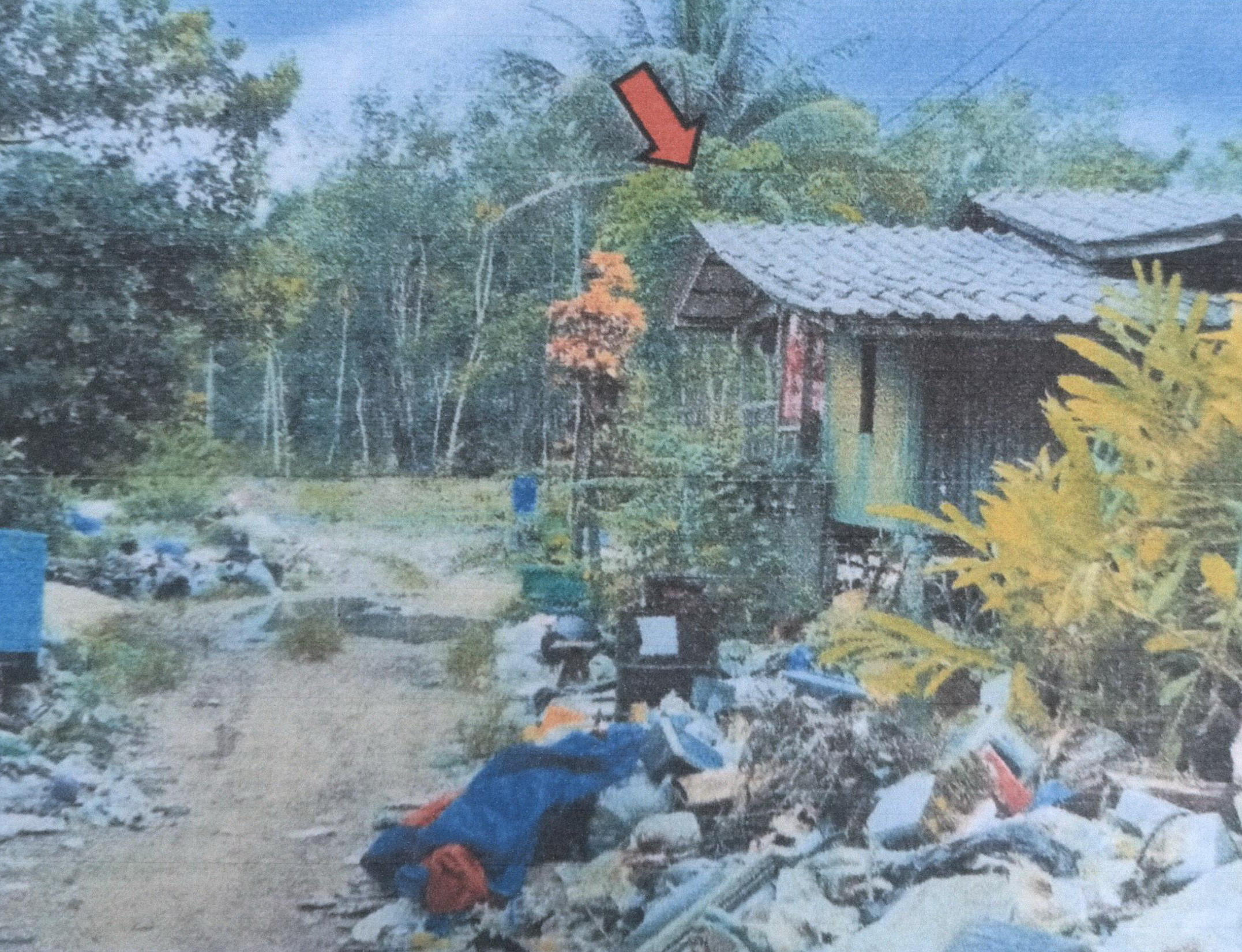 รูปที่ดินพร้อมสิ่งปลูกสร้าง ยะหา ยะหา ยะลา