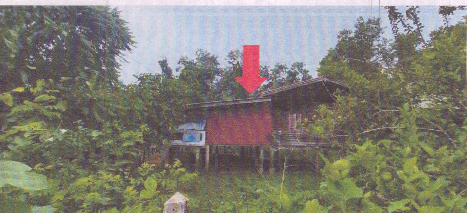 รูปที่ดินพร้อมสิ่งปลูกสร้าง ตะเครียะ ระโนด สงขลา