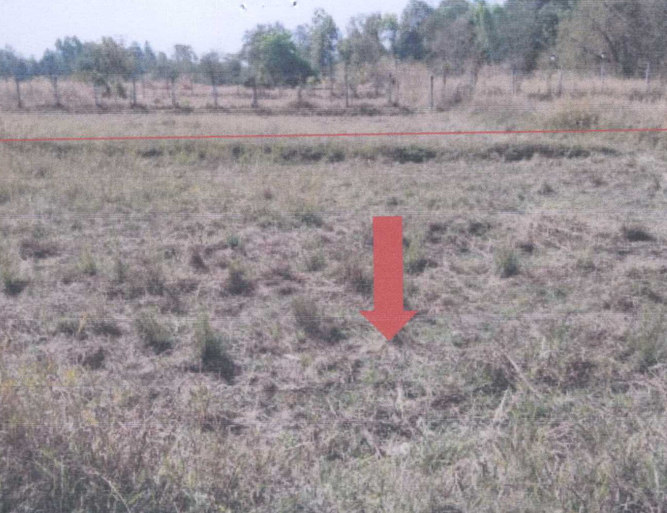รูปที่ดินว่างเปล่า บัวขาว กุฉินารายณ์ กาฬสินธุ์