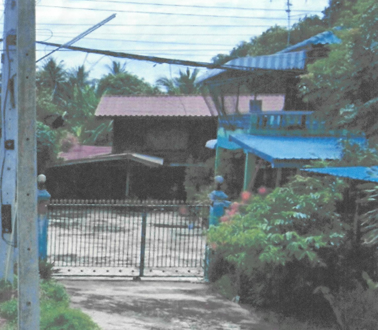 รูปที่ดินพร้อมสิ่งปลูกสร้าง สรรพยา สรรพยา ชัยนาท