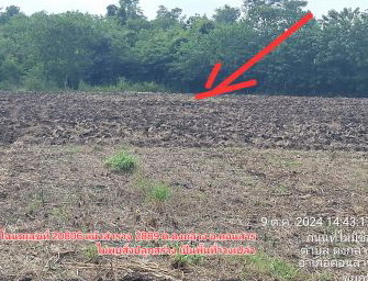 รูปที่ดินว่างเปล่า ดงกลาง คอนสาร ชัยภูมิ