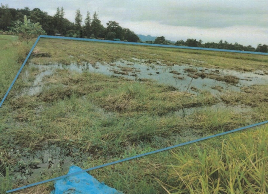 รูปที่ดินว่างเปล่า เขาบางแกรก หนองฉาง อุทัยธานี
