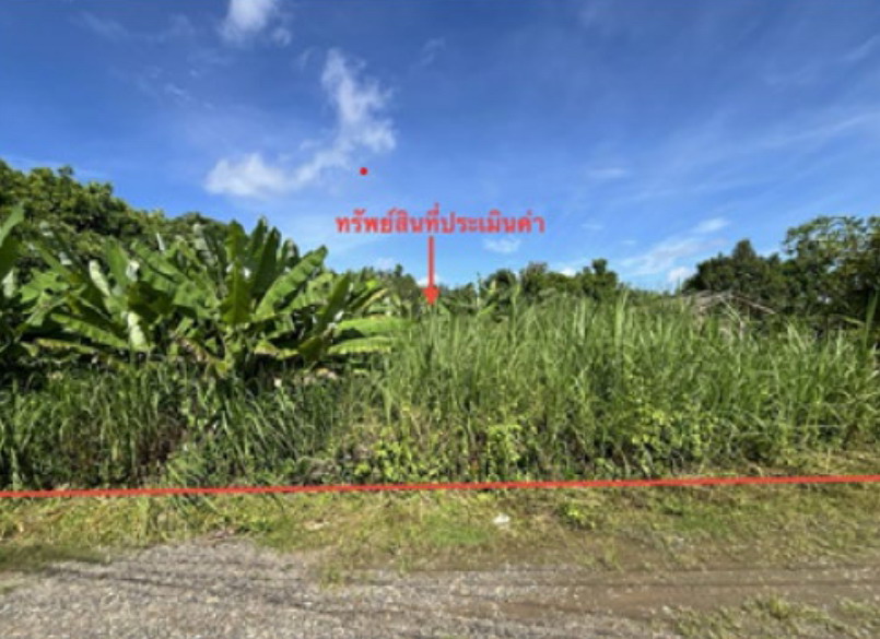 รูปที่ดินว่างเปล่า นาสาร บ้านนาสาร สุราษฎร์ธานี