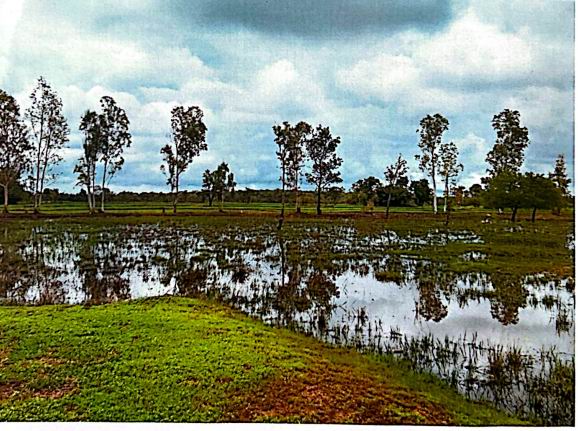 รูปที่ดินว่างเปล่า ยางสักกระโพหลุ่ม ม่วงสามสิบ อุบลราชธานี