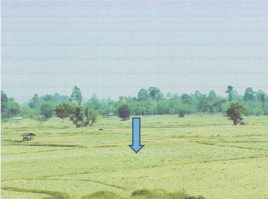 รูปที่ดินว่างเปล่า โพนทราย (กุดแข้) เมืองมุกดาหาร มุกดาหาร