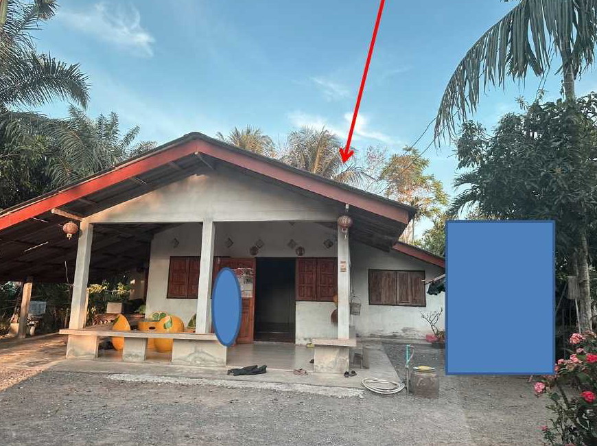 รูปที่ดินพร้อมสิ่งปลูกสร้าง นาไม้ไผ่ ทุ่งสง นครศรีธรรมราช
