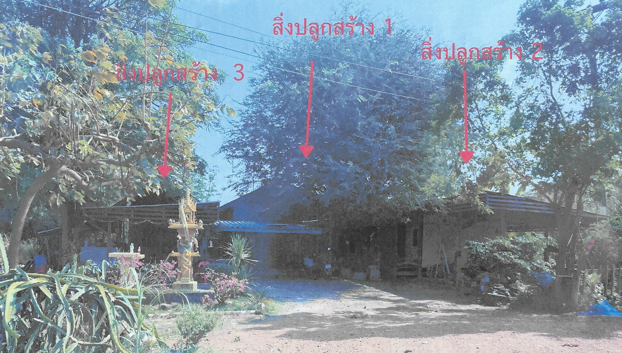 รูปที่ดินพร้อมสิ่งปลูกสร้าง เด่นใหญ่ หันคา ชัยนาท