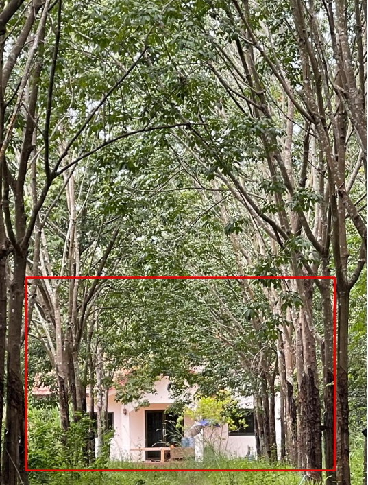 รูปที่ดินพร้อมสิ่งปลูกสร้าง ค้อเขียว วาริชภูมิ สกลนคร