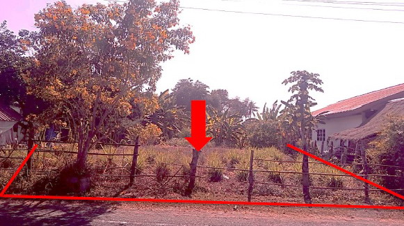 รูปที่ดินว่างเปล่า ป่าชัน พลับพลาชัย บุรีรัมย์
