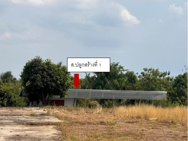รูปที่ดินพร้อมสิ่งปลูกสร้าง นาบ่อคำ เมืองกำแพงเพชร กำแพงเพชร