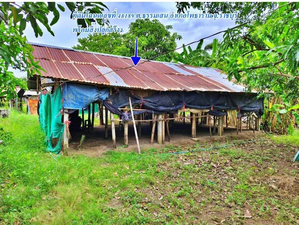 รูปที่ดินพร้อมสิ่งปลูกสร้าง ธรรมเสน โพธาราม ราชบุรี