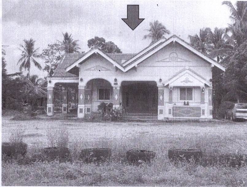 รูปที่ดินพร้อมสิ่งปลูกสร้าง หินตก ร่อนพิบูลย์ นครศรีธรรมราช