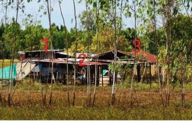 รูปที่ดินพร้อมสิ่งปลูกสร้าง สระบัว แคนดง บุรีรัมย์