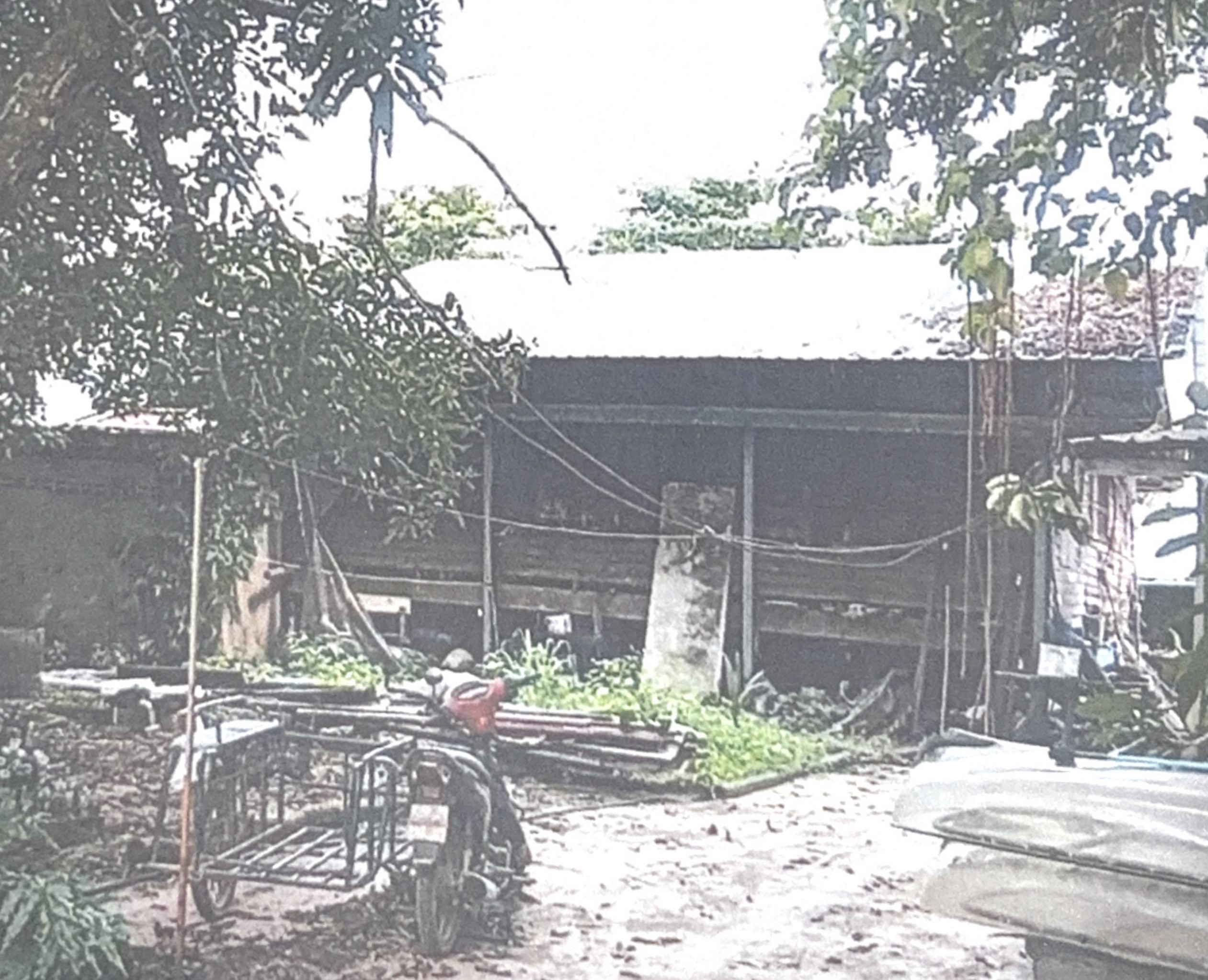 รูปที่ดินว่างเปล่า เกาะช้างใต้ เกาะช้าง ตราด