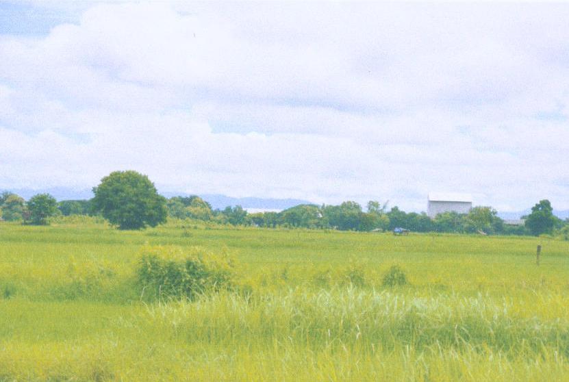 รูปที่ดินว่างเปล่า ทุ่งกวาว เมืองแพร่ แพร่