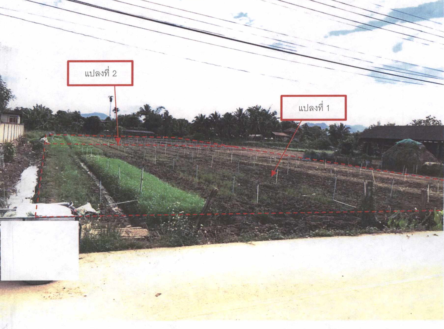 รูปที่ดินว่างเปล่า ศรีดงเย็น ไชยปราการ เชียงใหม่