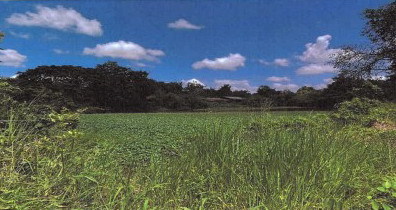 รูปที่ดินว่างเปล่า วัดธาตุ เมืองหนองคาย หนองคาย