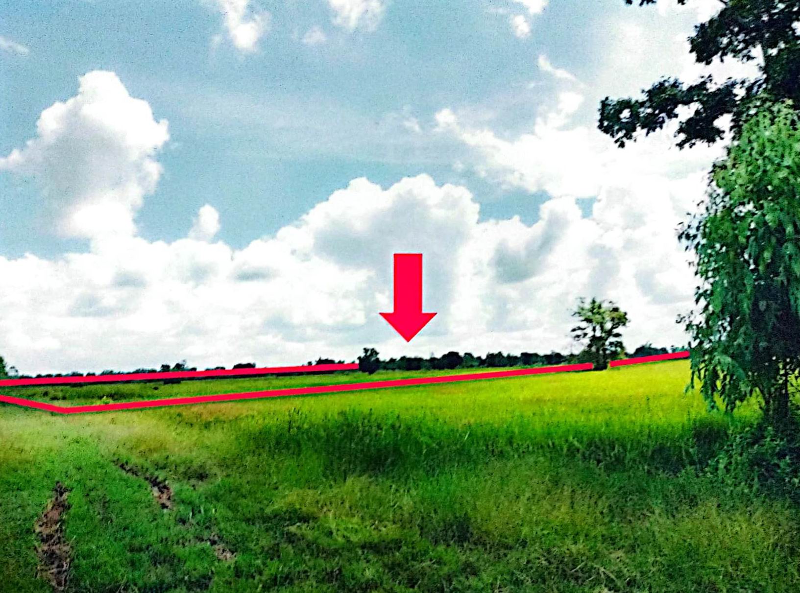 รูปที่ดินว่างเปล่า แดงใหญ่ บ้านใหม่ไชยพจน์ บุรีรัมย์
