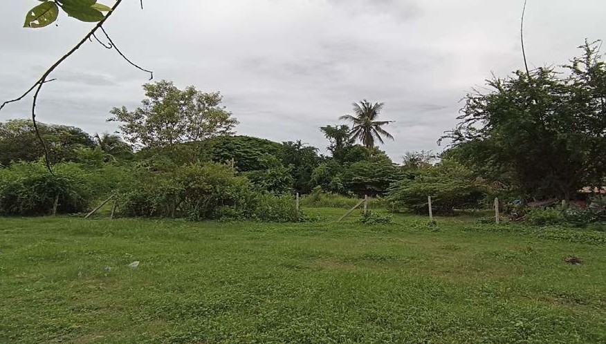 รูปที่ดินว่างเปล่า บ้านฆ้อง โพธาราม ราชบุรี