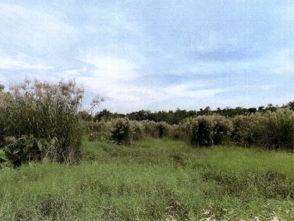 รูปที่ดินว่างเปล่า ทองมงคล บางสะพาน ประจวบคีรีขันธ์