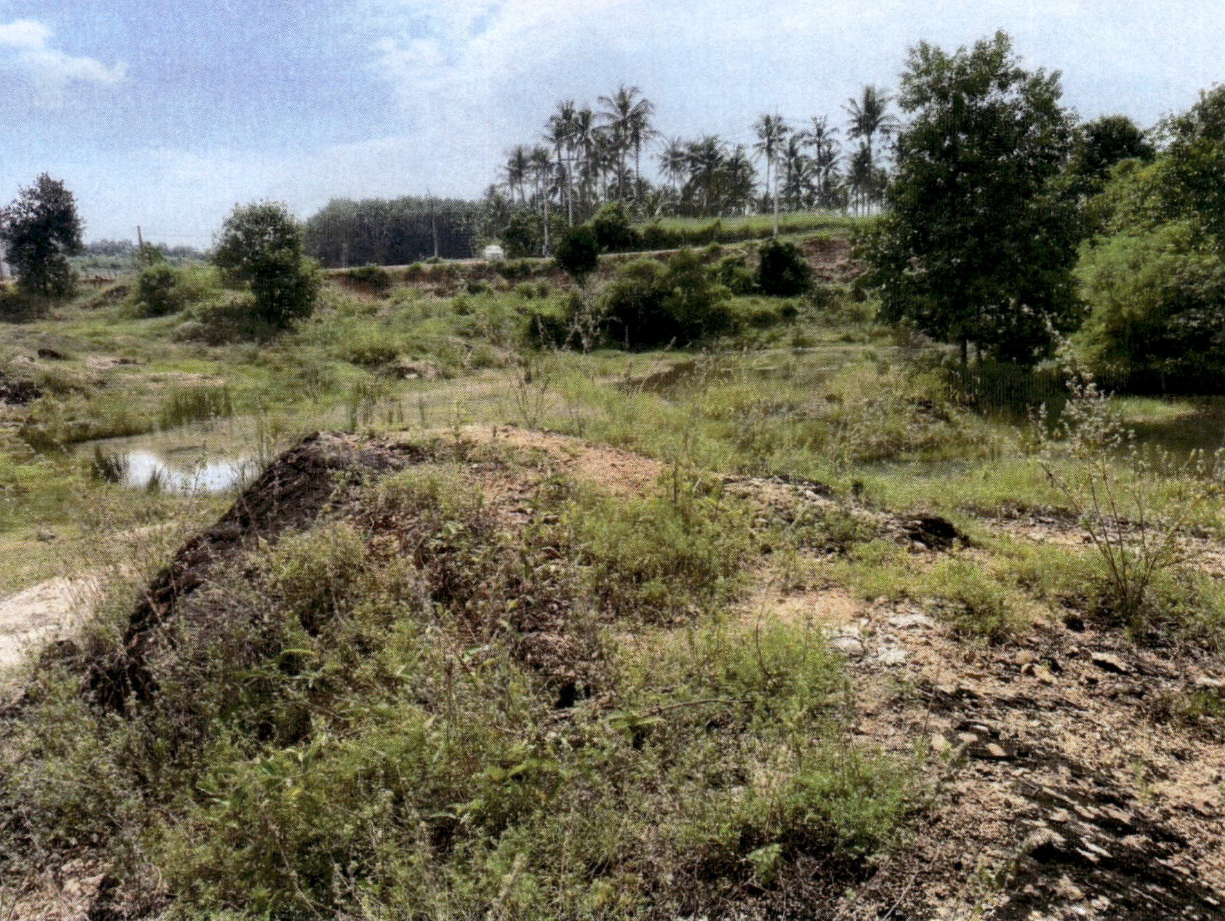 รูปที่ดินว่างเปล่า ทองมงคล บางสะพาน ประจวบคีรีขันธ์