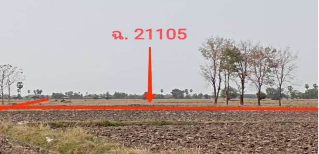 รูปที่ดินว่างเปล่า หนองหญ้าไซ หนองหญ้าไซ สุพรรณบุรี