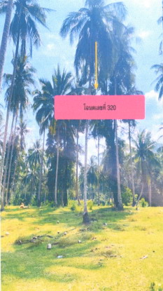 รูปที่ดินว่างเปล่า ขนอม ขนอม นครศรีธรรมราช