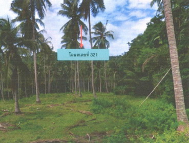 รูปที่ดินว่างเปล่า ขนอม ขนอม นครศรีธรรมราช