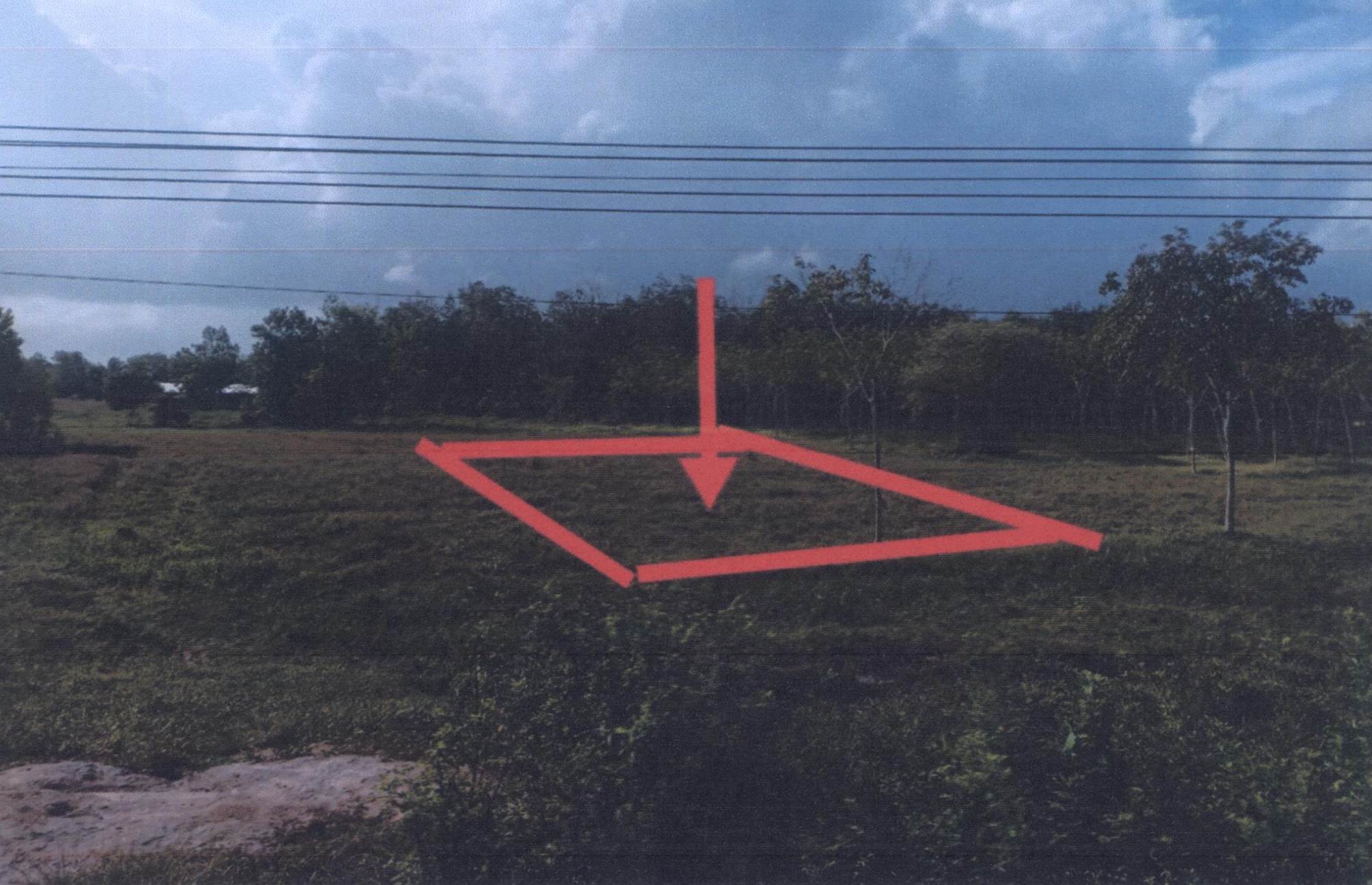 รูปที่ดินว่างเปล่า รัตภูมิ ควนเนียง สงขลา