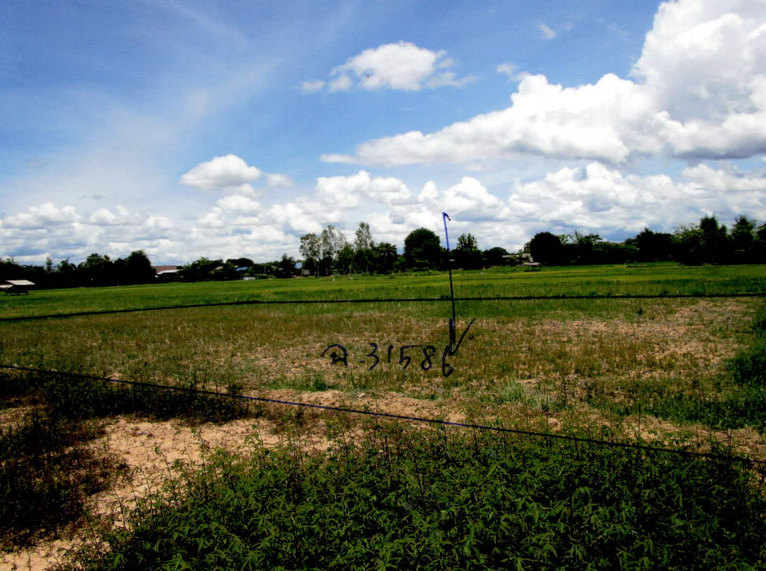 รูปที่ดินว่างเปล่า ท่าผา เกาะคา ลำปาง