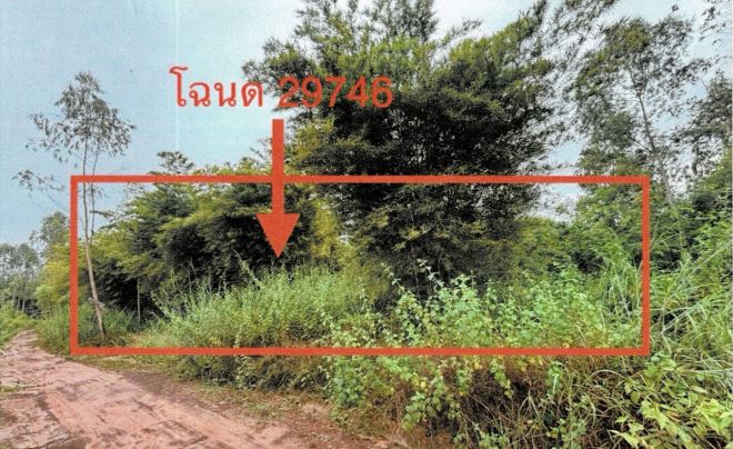 รูปที่ดินว่างเปล่า หายโศก บ้านผือ อุดรธานี