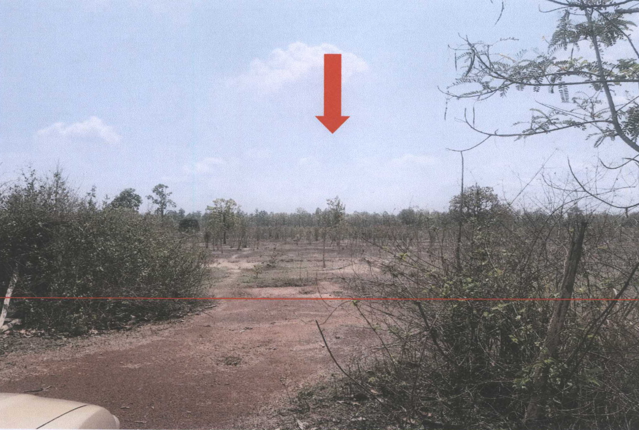 รูปที่ดินว่างเปล่า หนองสนม วานรนิวาส สกลนคร