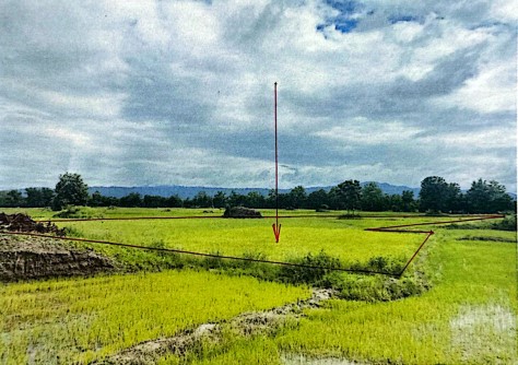 รูปที่ดินว่างเปล่า หนองกะท้าว นครไทย พิษณุโลก