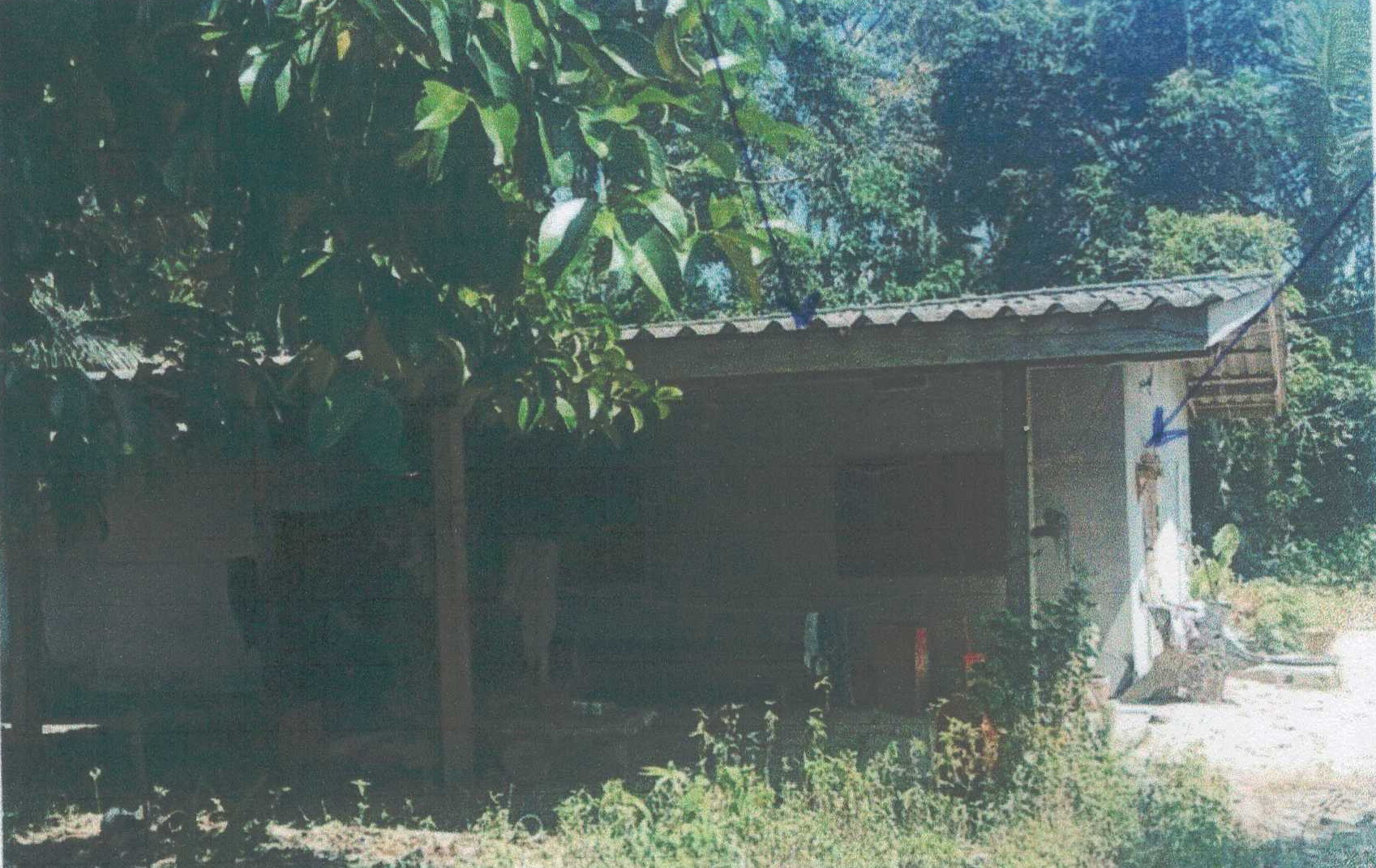 รูปที่ดินพร้อมสิ่งปลูกสร้าง บ้านลำนาว บางขัน นครศรีธรรมราช