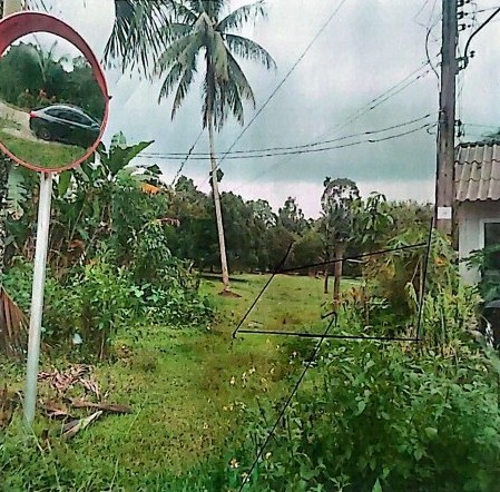 รูปที่ดินว่างเปล่า นาเคียน เมืองนครศรีธรรมราช นครศรีธรรมราช