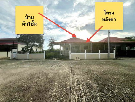 รูปที่ดินพร้อมสิ่งปลูกสร้าง บ้านนา วชิรบารมี พิจิตร