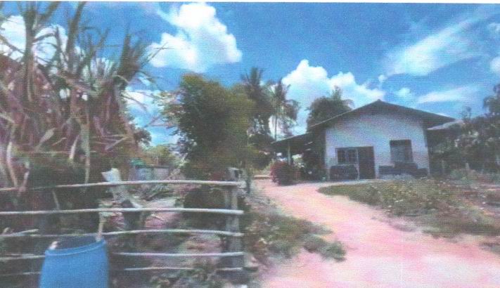 รูปที่ดินพร้อมสิ่งปลูกสร้าง หนองกราด ด่านขุนทด นครราชสีมา