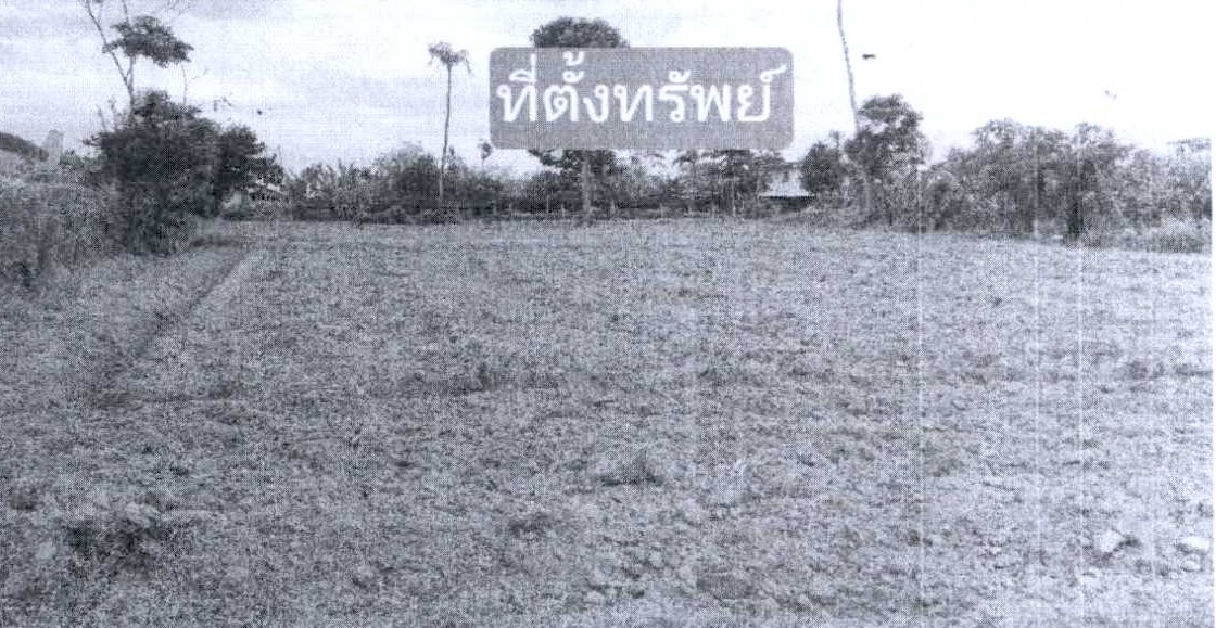 รูปที่ดินว่างเปล่า มาบปลาเค้า ท่ายาง เพชรบุรี