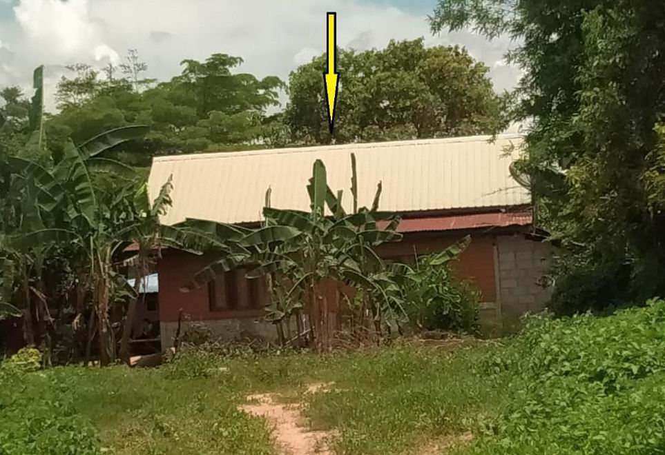 รูปที่ดินพร้อมสิ่งปลูกสร้าง นาสีนวน กันทรวิชัย มหาสารคาม