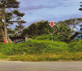 รูปที่ดินว่างเปล่า หนองปรือ รัษฏา ตรัง