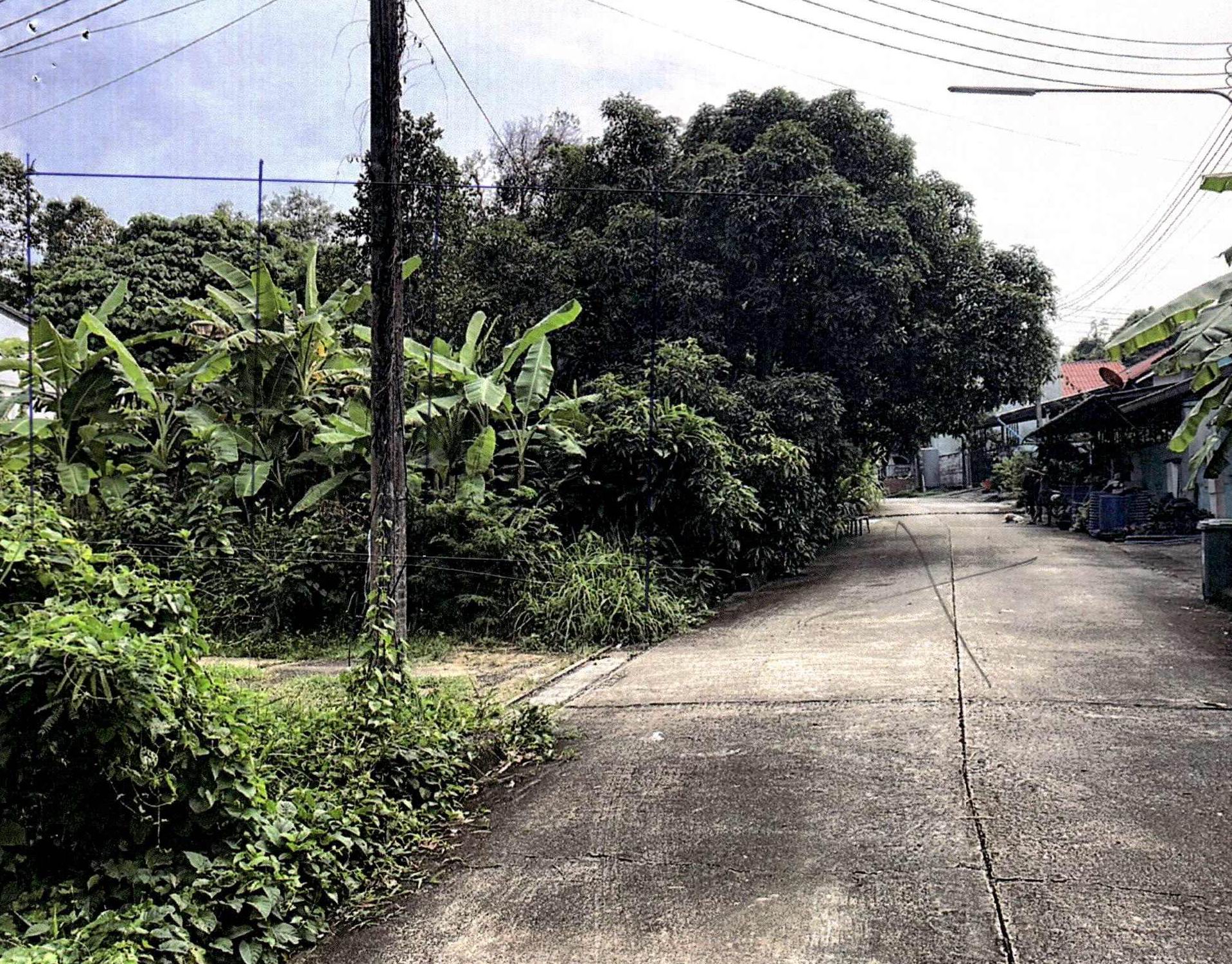 รูปที่ดินว่างเปล่า รัษฎา เมืองภูเก็ต ภูเก็ต