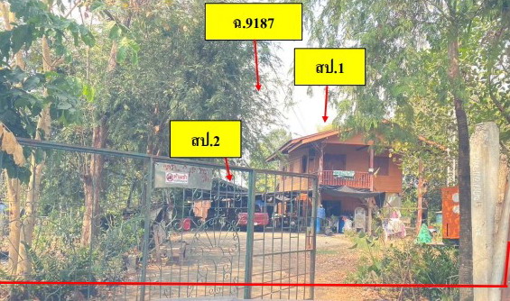 รูปที่ดินพร้อมสิ่งปลูกสร้าง วังงิ้วใต้ ดงเจริญ พิจิตร