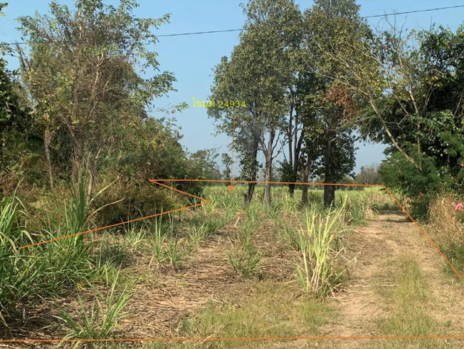 รูปที่ดินว่างเปล่า โคกงาม บ้านฝาง ขอนแก่น