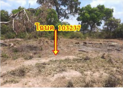 รูปที่ดินว่างเปล่า แจระแม เมืองอุบลราชธานี อุบลราชธานี