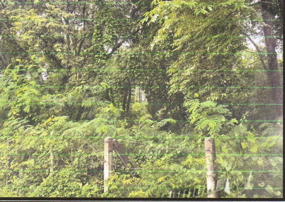 รูปที่ดินว่างเปล่า กุดเรือคำ วานรนิวาส สกลนคร