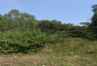 รูปที่ดินว่างเปล่า โนนสะอาด บ้านม่วง สกลนคร