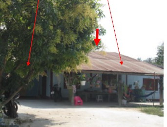 รูปที่ดินพร้อมสิ่งปลูกสร้าง โคกสะอาด ลำปลายมาศ บุรีรัมย์