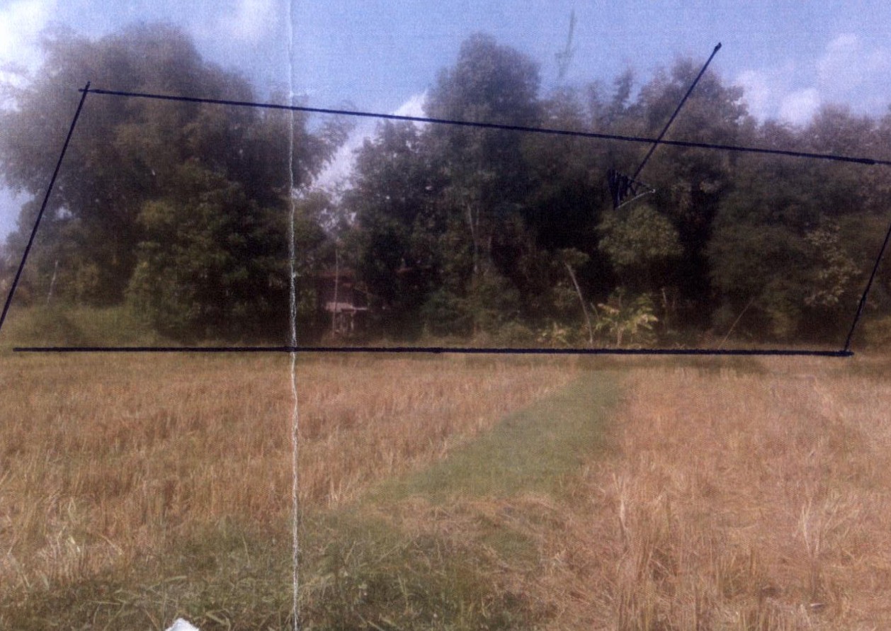 รูปที่ดินว่างเปล่า หินโงม เมืองหนองคาย หนองคาย