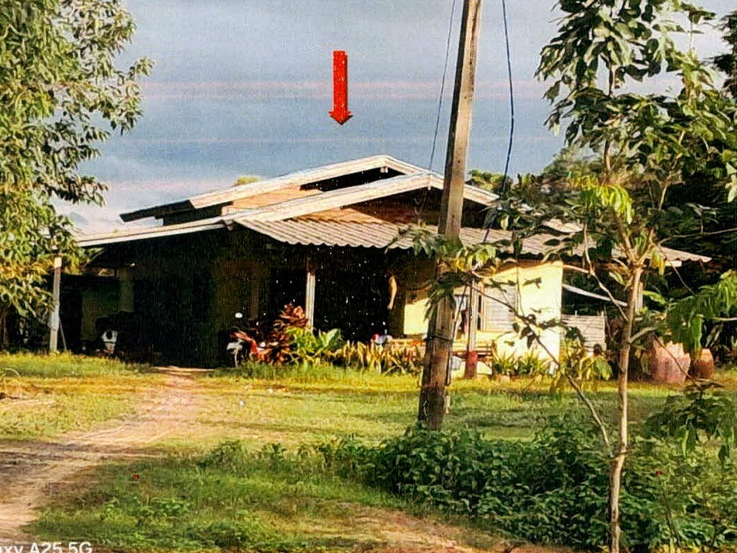 รูปที่ดินพร้อมสิ่งปลูกสร้าง กังแอน ปราสาท สุรินทร์